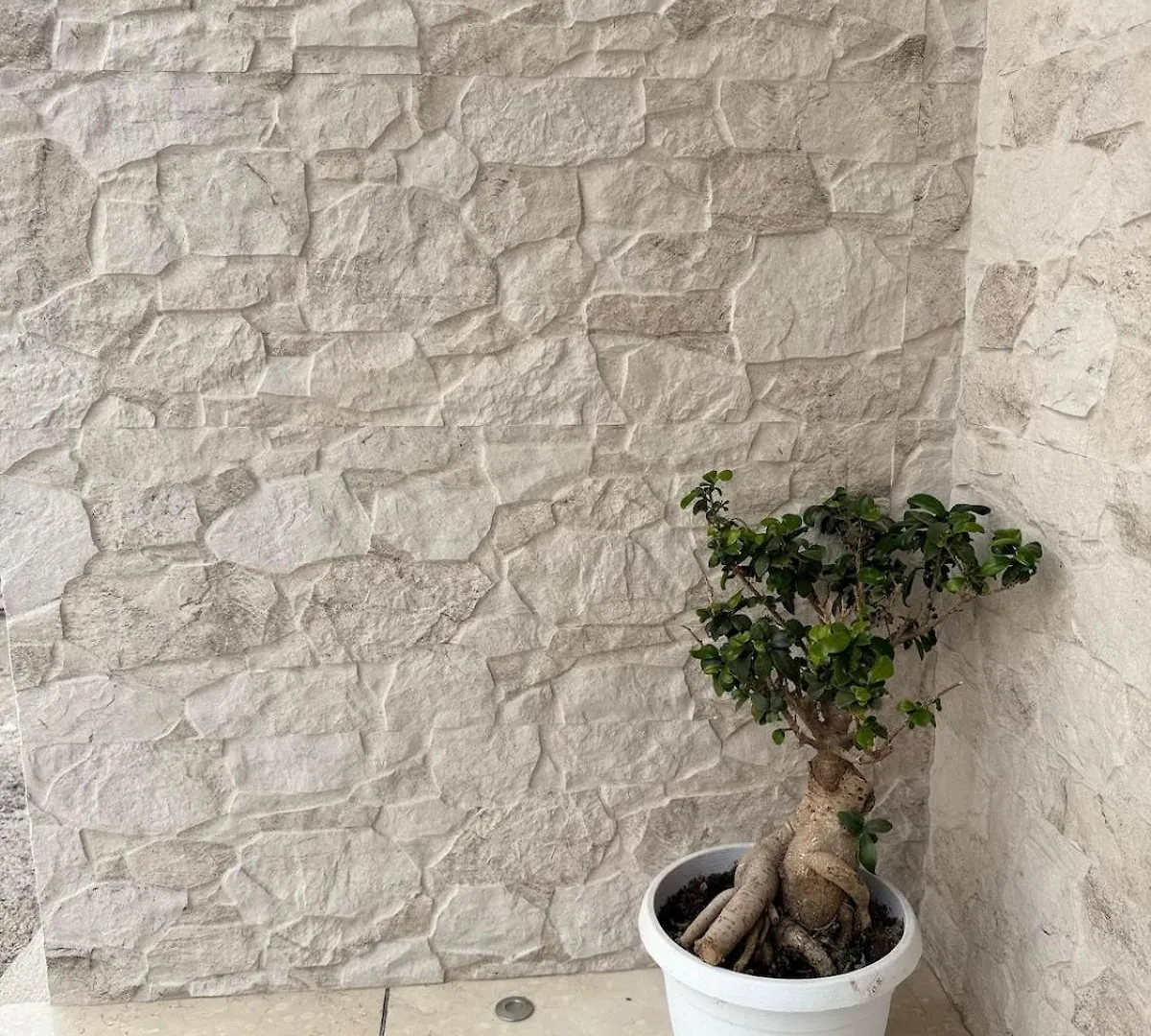 Haska Home Sampieri